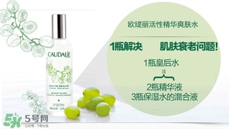歐緹麗和悅木之源哪個(gè)好？歐緹麗皇后水和悅木之源菌菇水