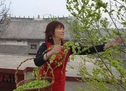 榆錢怎么蒸？蒸榆錢的做法