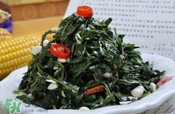 苦菜對人有什么好處？苦菜有什么功效