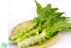 萵筍能放冰箱嗎？萵筍放冰箱能吃嗎？