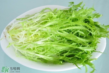 苦苣根哪里有賣？苦苣根茶在那里買的到