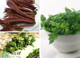 香椿和香菜能一起吃嗎？香椿和香菜怎么做？