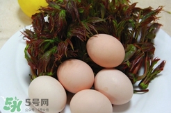 香椿葉能吃嗎？香椿葉孕婦能吃嗎？