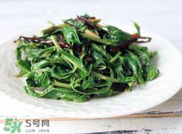 香椿和芹菜能一起吃嗎？香椿可以和芹菜同吃嗎？