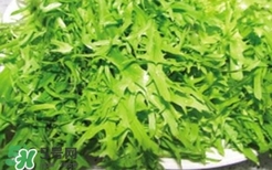 痛風能吃苦菊嗎？苦菊痛風人可以吃嗎