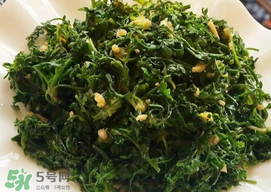 薺菜和香椿能一起吃嗎？薺菜和香椿一起吃好嗎？