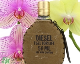 diesel迪塞爾是什么牌子？diesel是哪個(gè)國(guó)家的？