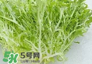苦菊能和羊肉一起吃嗎？苦菊可以和羊肉一起吃嗎