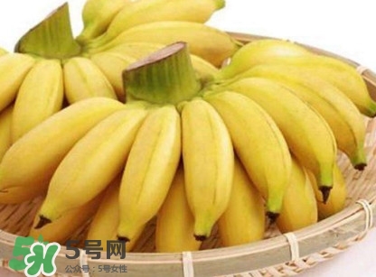 苦菊能和香蕉一起吃嗎？苦菊可以和香蕉一起吃嗎
