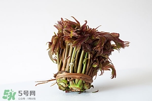 香椿樹(shù)什么時(shí)候發(fā)芽？香椿樹(shù)什么時(shí)候種植