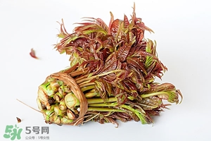 香椿樹(shù)什么時(shí)候發(fā)芽？香椿樹(shù)什么時(shí)候種植