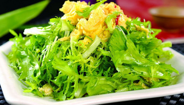 苦菊能和雞蛋一起吃嗎？苦菊可以和雞蛋一起吃嗎