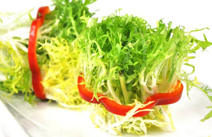 苦菊和什么相克？苦菊不能和什么同吃