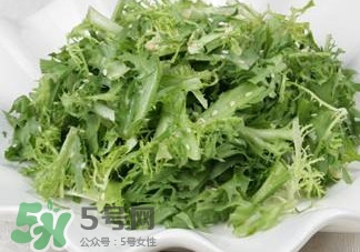 苦菊吃多了好嗎？苦菊吃多了好不
