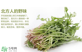 婆婆丁不能與什么同食？婆婆丁不能和什么一起吃？