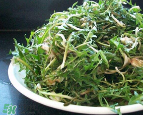 婆婆丁怎么吃？婆婆丁怎么吃最好？