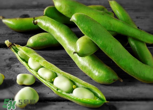 蠶豆什么時候成熟？蠶豆什么時候上市？