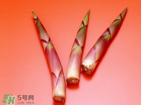 竹筍什么人不能吃？哪些人不適合吃竹筍？
