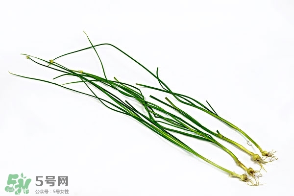 小根蒜的根能吃嗎？小根蒜的須子可以吃嗎