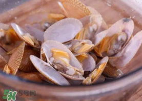 花甲怎么養(yǎng)不會(huì)死？花甲怎么養(yǎng)到用第二天？