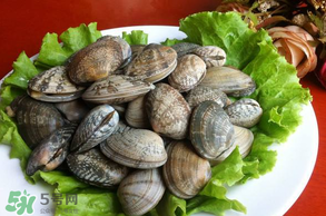 花甲不開口怎么辦？怎么讓花甲開口？