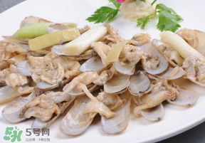 花甲怎么保存不會死？花甲怎么保存到次日？