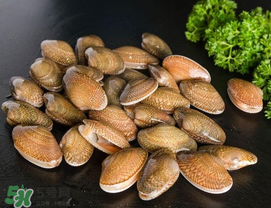 花甲為什么會(huì)苦？花甲有苦味什么原因？