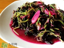 莧菜怎么摘？莧菜怎么處理