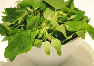灰灰菜怎么吃？灰灰菜的吃法