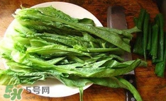 萵苣葉是什么？生菜是不是萵苣葉子
