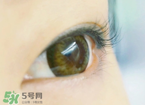 貝印和muji睫毛夾哪個好？貝印和無印良品睫毛夾對比