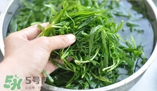 掃帚菜怎么做好吃？掃帚菜怎么吃好吃