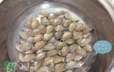 芒果螺怎么清洗？芒果螺怎么吃