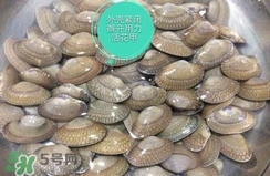 芒果螺怎么清洗？芒果螺怎么吃