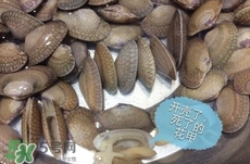 芒果螺怎么清洗？芒果螺怎么吃