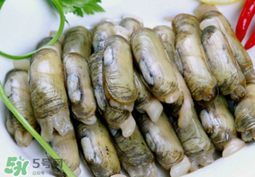 蟶子不能和什么一起吃？蟶子和什么不能一起吃？