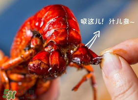 吃油燜大蝦會胖嗎？油燜大蝦的熱量是多少？