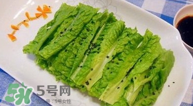 萵苣葉是什么？生菜是不是萵苣葉子