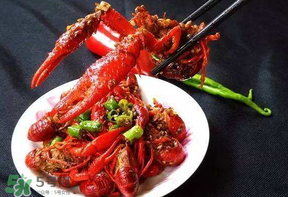 龍蝦什么時候上市？龍蝦幾月份上市？