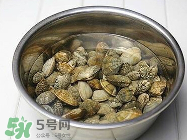 芒果螺孕婦能吃嗎？芒果螺孕婦可以吃嗎