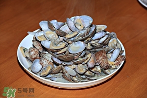 芒果螺怎么清洗？芒果螺怎么吃