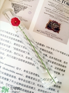 kenzo香水一枝花多少錢？kenzo一枝花香水怎么樣價(jià)格