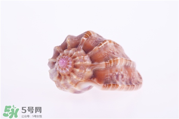 海螺的尾部能吃嗎？海螺的尾巴可以吃嗎
