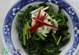 灰灰菜有什么功效？灰灰菜有什么營養(yǎng)價(jià)值