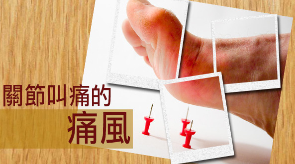 痛風能吃海帶嗎？痛風能不能吃海帶