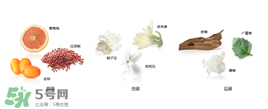 郎朗香水是什么牌子？郎朗香水是什么檔次？