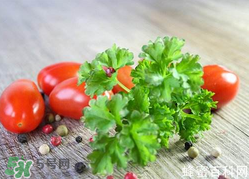 四月份可以種香菜嗎？四月份還能種香萊嗎？