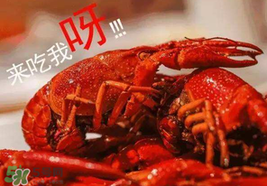煮熟的小龍蝦隔夜能吃嗎？煮熟的小龍蝦能放多久？