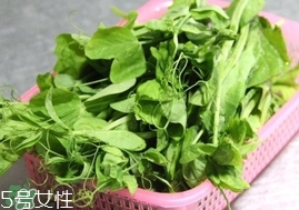 豌豆苗怎么做好吃？豌豆苗的做法
