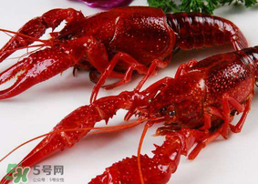 龍蝦發(fā)苦怎么回事？龍蝦發(fā)苦能吃嗎？